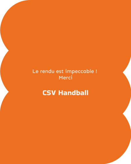AVIS-CSV Handball